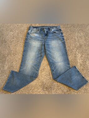 American Eagle Outfitters Men's Medium Blue Straight Jeans
